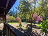 3206 Middle Creek Ranch Rd. - Photo 6