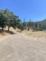 12031 Pine Street - Photo 44