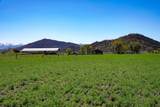 13317 Mcadams Creek Road - Photo 43