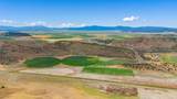 341 Acres Sheepy Creek Rd - Photo 19