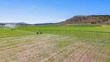 341 Acres Sheepy Creek Rd - Photo 21