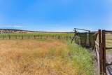 341 Acres Sheepy Creek Rd - Photo 6