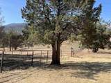 9712 Ager Beswick Rd. - Photo 44
