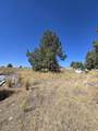 3138 Sheep Mountain - Photo 34