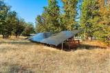 5831 Memory Lane - Photo 44