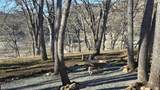 17131 Janice - Photo 24