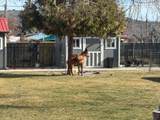 118 & 126 Oregon St - Photo 6