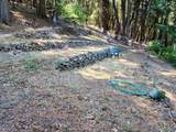 4850 Siskiyou Ave - Photo 27