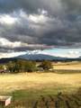 1201 Ball Mountain Little Shasta Rd - Photo 46