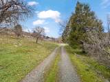 16813 Highway 96 - Photo 11