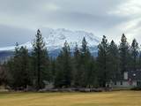 6308 Palmer Dr - Photo 46