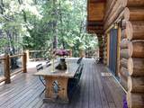 NSA Emigrant Creek Road - Photo 22