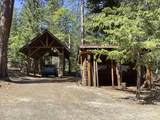 NSA Emigrant Creek Road - Photo 34