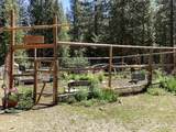 NSA Emigrant Creek Road - Photo 35