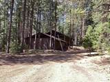 NSA Emigrant Creek Road - Photo 37