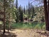 NSA Emigrant Creek Road - Photo 39