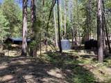 NSA Emigrant Creek Road - Photo 41