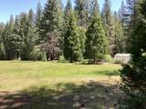 NSA Emigrant Creek Road - Photo 43