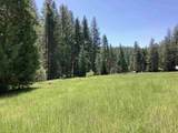 NSA Emigrant Creek Road - Photo 44
