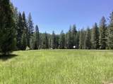 NSA Emigrant Creek Road - Photo 47
