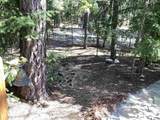 NSA Emigrant Creek Road - Photo 49