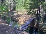 NSA Emigrant Creek Road - Photo 50