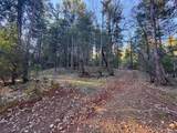 1633 Seiad Creek Road - Photo 13