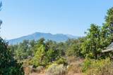 26804 Edgewood Rd - Photo 23