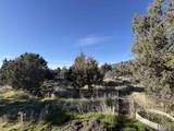 17239 Bounty Road - Photo 11
