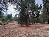 2430 Pine Grove Dr - Photo 4