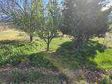 3820 High Rd - Photo 9