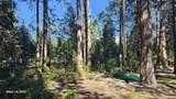 1335 Scenic - Photo 32