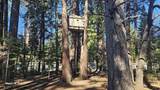 1335 Scenic - Photo 33