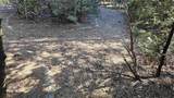 1335 Scenic - Photo 35