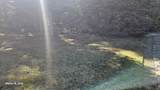1335 Scenic - Photo 37