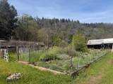 63013 Highway 96 - Photo 4