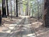 10015 Eliza Gulch Rd - Photo 24