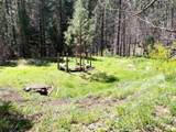 10015 Eliza Gulch Rd - Photo 26