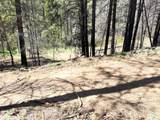 10015 Eliza Gulch Rd - Photo 32