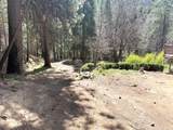 10015 Eliza Gulch Rd - Photo 33