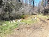 10015 Eliza Gulch Rd - Photo 34