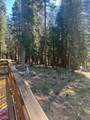 532 Shasta Pines Drive - Photo 26