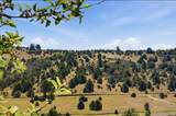 12701 Cram Gulch Rd - Photo 12