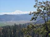 13705 Patterson Creek Road - Photo 37