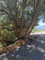 13705 Patterson Creek Road - Photo 46
