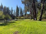 13333 Dangel Lane - Photo 12