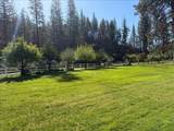13333 Dangel Lane - Photo 38