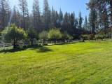 13333 Dangel Lane - Photo 39
