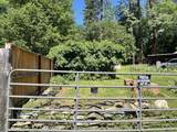 318 Seiad Grove Road - Photo 15
