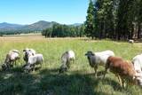 6132 Mill Creek Road - Photo 40